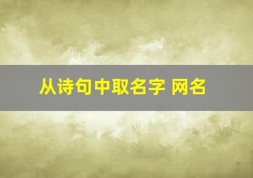 从诗句中取名字 网名